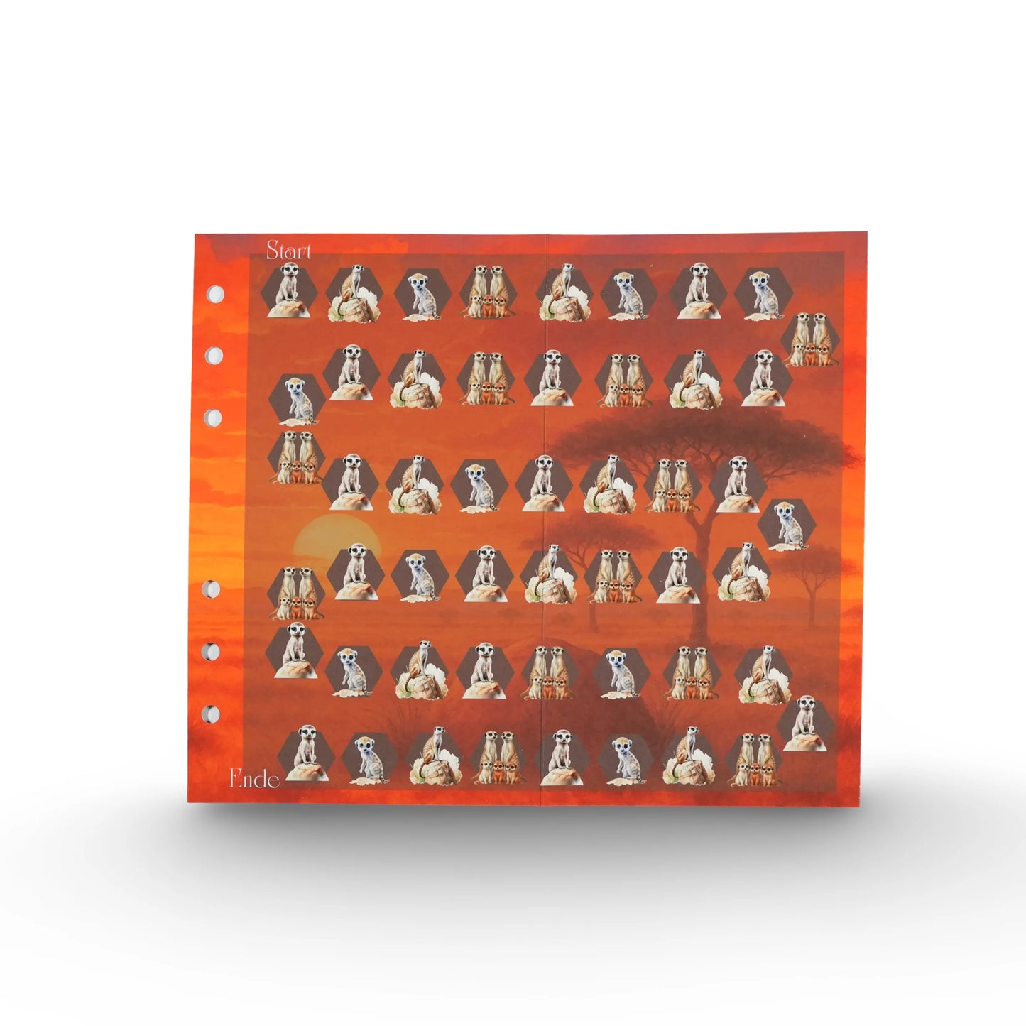 Erdmännchen