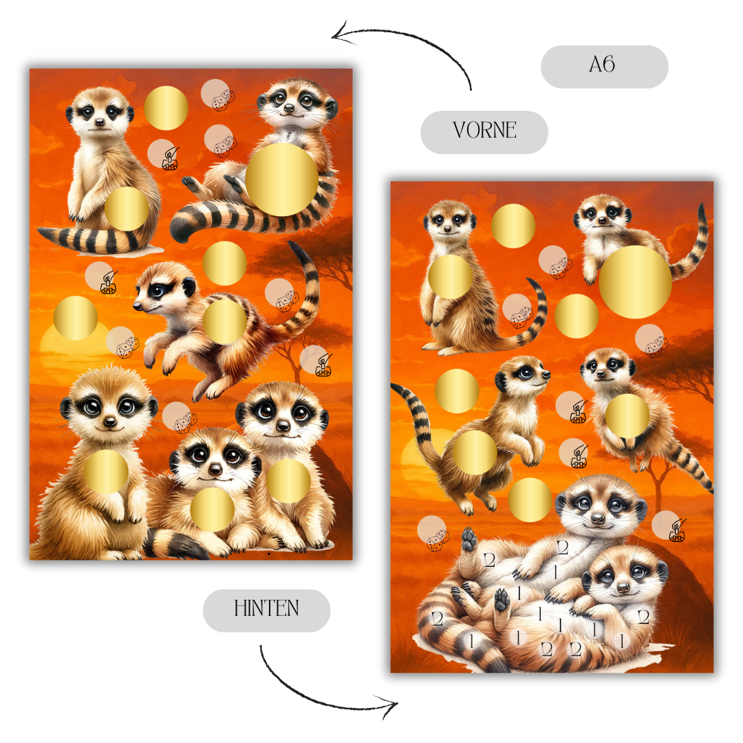 Erdmännchen