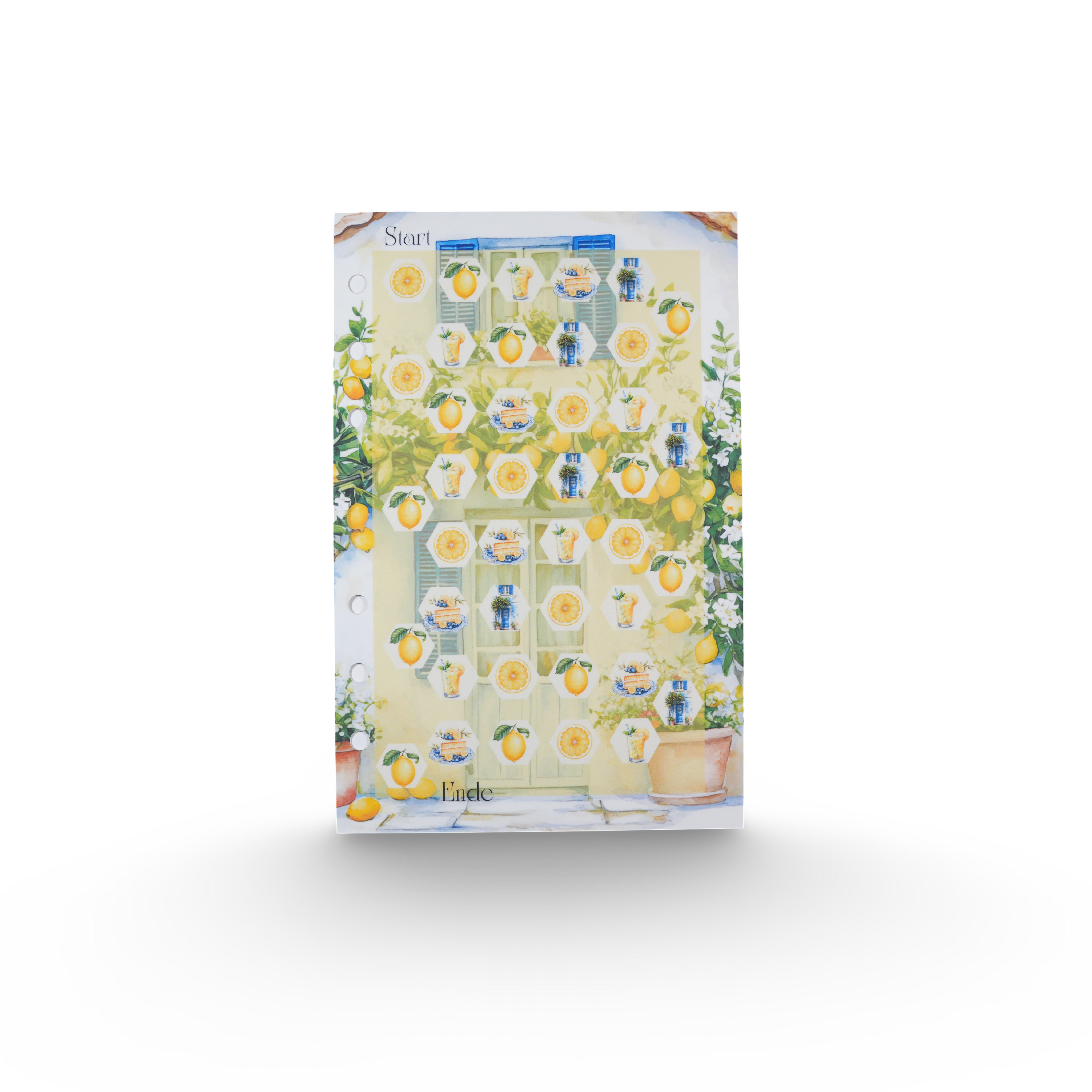 Citrus Garden (XXl Sparstrasse)